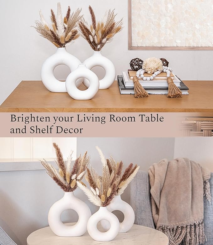 Set of 3 White Ceramic Vase with 65 PCS Dried Pampas Grass Flowers Aesthetic Boho Modern Small Round Cute Vases for Decor Living Room Coffee Table Shelf Bedroom Office Desk Home Gifts Women Mom